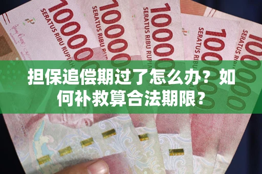 济南担保追偿期过了怎么办？如何补救算合法期限？
